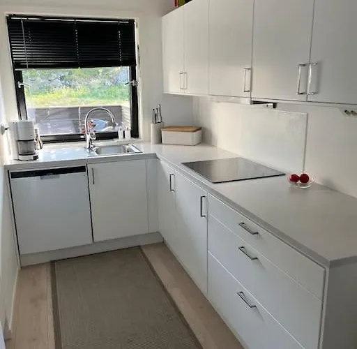 Moderne Fra 2019 *